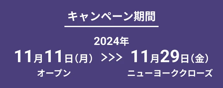 キャンペーン期間 2024年11月11日月曜日オープンから11月29日金曜日ニューヨーククローズ